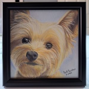 Hand drawn colored pencil dog